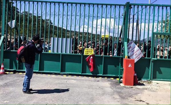 15-04/14/ccjn5vpuiaa6miy