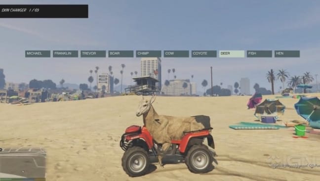 15-04/29/nativetrainer3jpg-531611