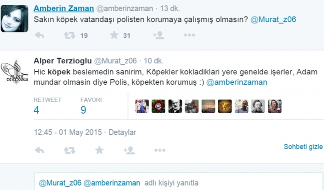 15-05/01/kopek-foto2