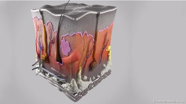 15-05/08/150508141124_skin_624x351_bbc_nocredit