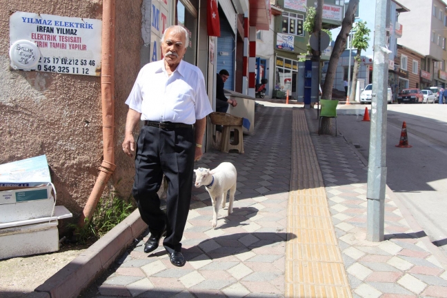 15-05/10/biberonla-besledigi-kuzu-yanindan-ayrilmiyor_4452_dhaphoto2