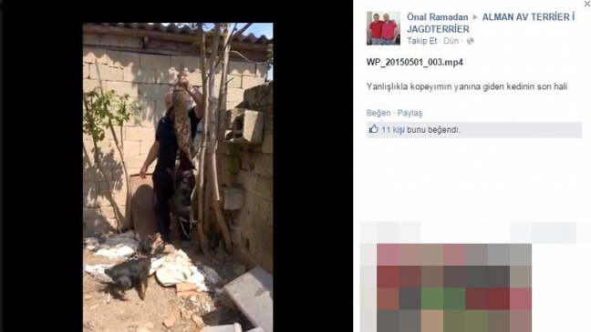 15-05/13/5006643dfbcb4a262dd580c95445b93d-1431502093