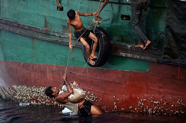 15-05/15/aaarakannnn6666666