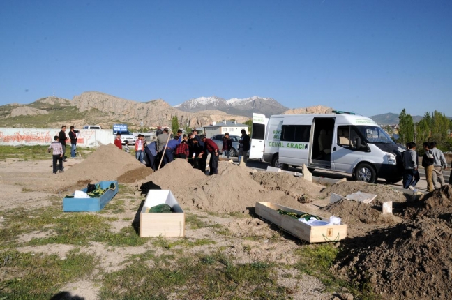 15-05/17/aa_picture_20150516_5350760_web