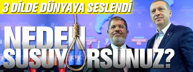 15-05/17/untitled-2-1431823937-1431851494