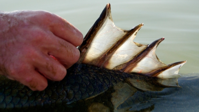 15-05/19/34321-1432031844