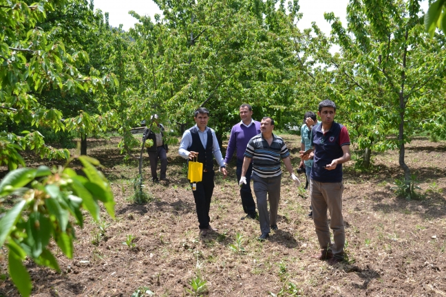 15-05/25/kirazjpg-1432540961