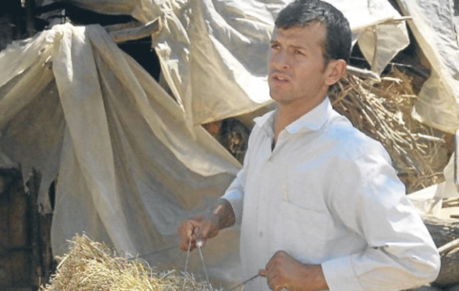 15-05/28/fft99_mf817554