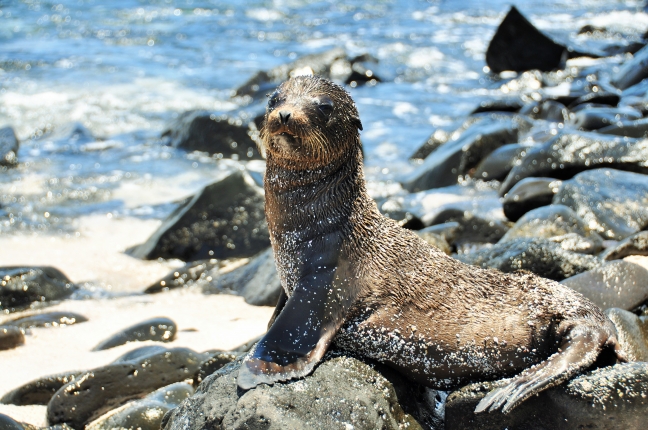 15-06/24/denizaslani5