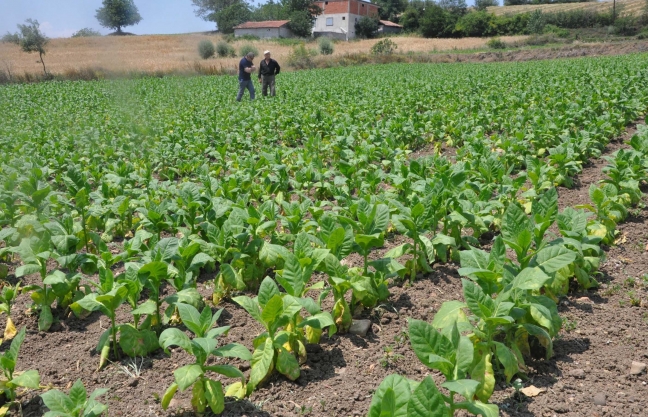 15-06/26/8ce3dbe430958f1f035a5bc1365d5037-1435307266