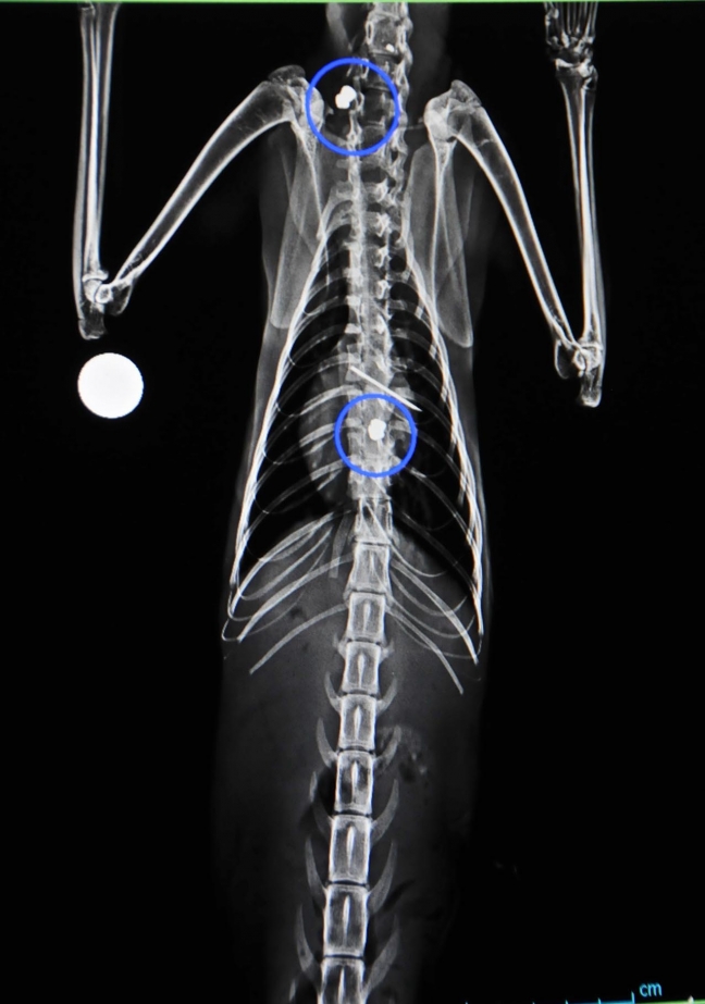 15-06/30/5617581e7251854e05b6089ee537097a-1435653431