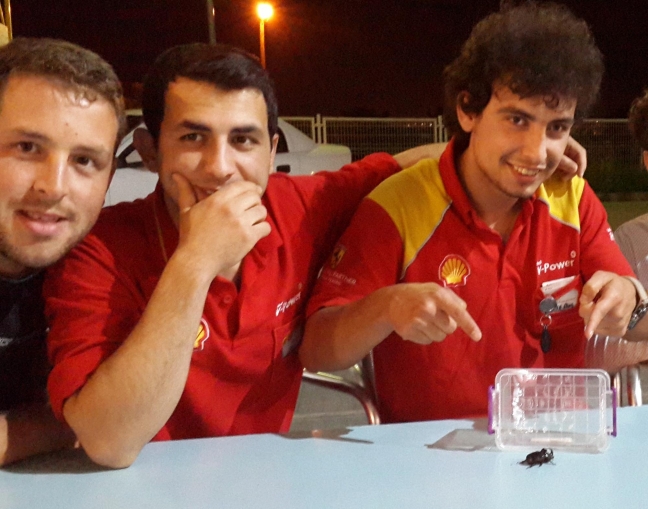 15-07/04/bir-gergeden-bocegi-de-golcukte-bulundu-_5924_dhaphoto4