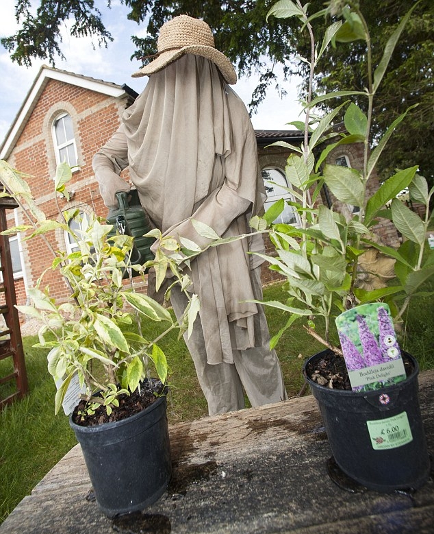 15-07/05/2a3227c000000578-3148311-image-m-4_1435922094155