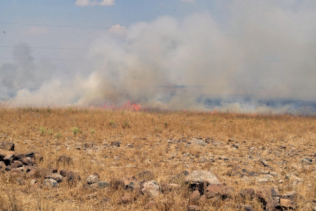 15-07/13/diyarbakirda-fidan-diken-hdpli-milletvekili-ve-baskanlara-tasli-saldiri_5114_dhaphoto2