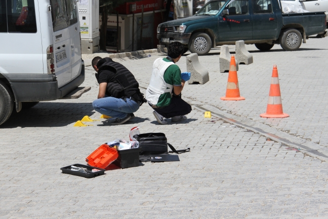 15-07/28/aa_picture_20150728_5944335_high