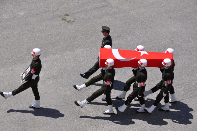 15-07/28/aa_picture_20150728_5946369_high