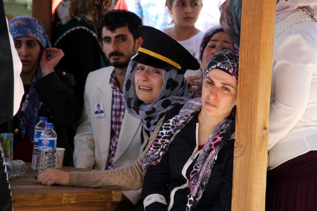 15-07/31/aa_picture_20150731_5968123_high