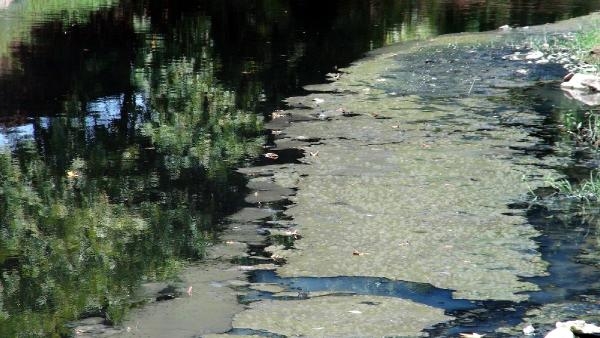 15-08/01/b64f0d56949f6b73824198763c3422f0-1438433602