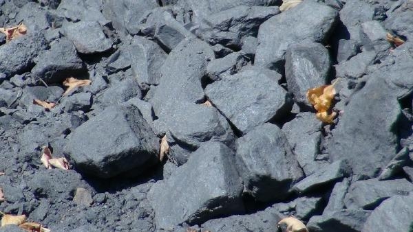 15-08/01/e1f02c53e36515492c41f94c0ed817c5-1438433591