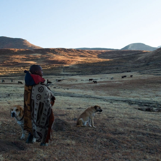 15-08/04/11375742_829295973815598_1350169050_n