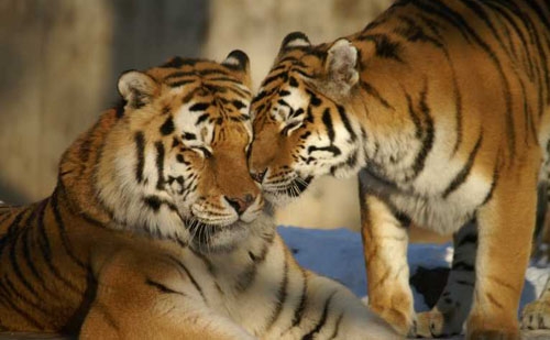 15-08/09/hazar-kaplani