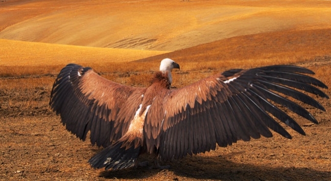 15-08/09/kizil-akbaba