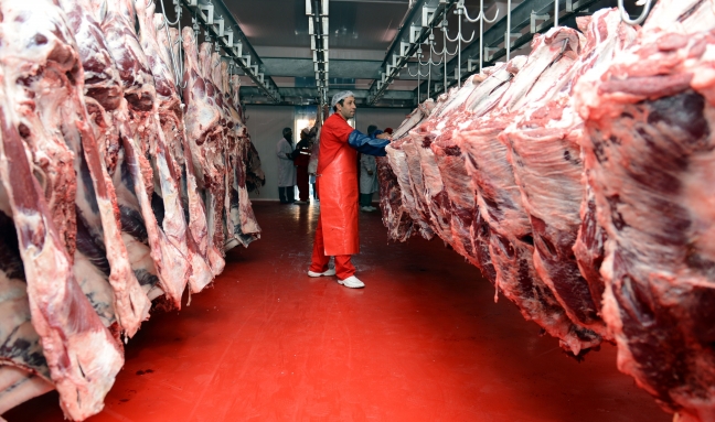 15-08/10/20121023113817_ank105_1930793