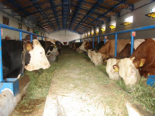 15-08/10/74d11e-dsc01867