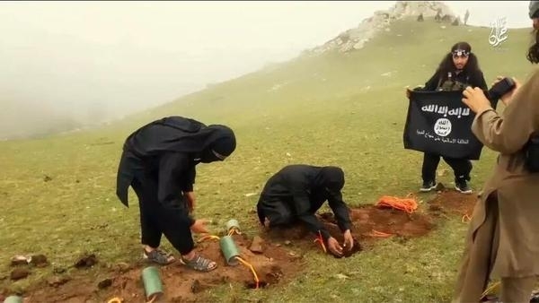 15-08/10/d2fb099e-6337-4ec8-a9ff-1257e8d1173c