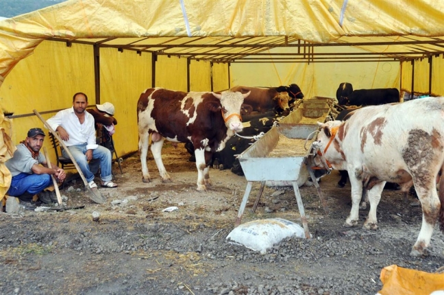 15-08/10/dsc_0285_jpg09_09_2014_10_31_06881446