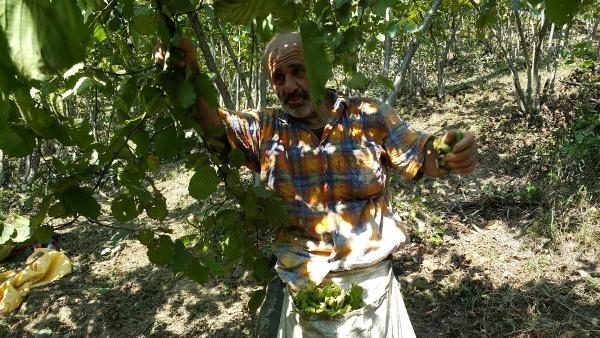 15-08/15/bb33d64132a3dab2982fa57335ab5a82-1439636832