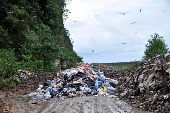 15-08/29/c3264e1bca475583d55a90ad84468894-1440854179