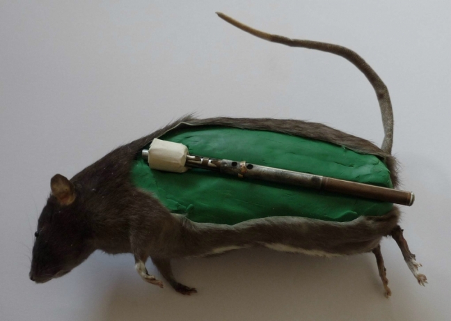 15-08/29/exploding-rat