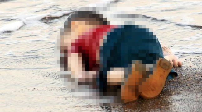 15-09/03/aylan02