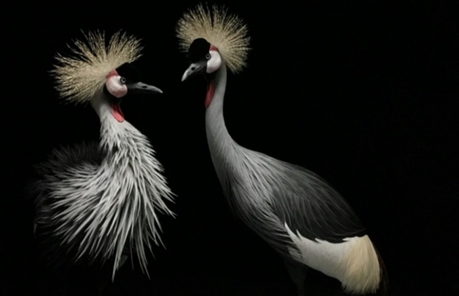 15-09/09/1441824632396656