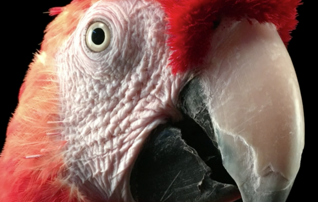 15-09/09/screenshot-2015-09-09-215045