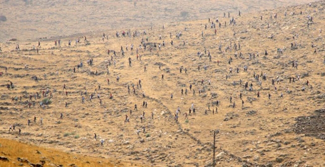 15-09/12/1-1442046285