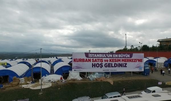 15-09/16/61600_42480_16092015102359_2