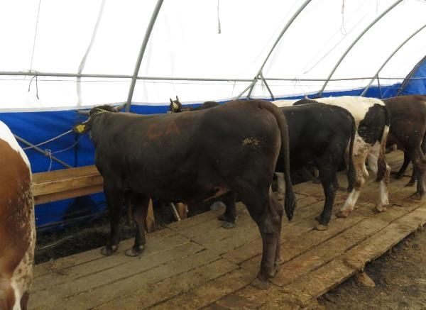 15-09/16/61600_42480_16092015102359_5