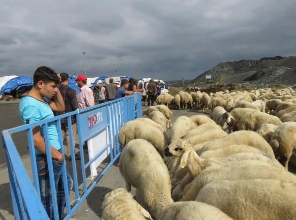 15-09/16/61600_42480_16092015102359_8