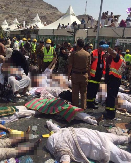 15-09/24/cpp82juwgaazyko