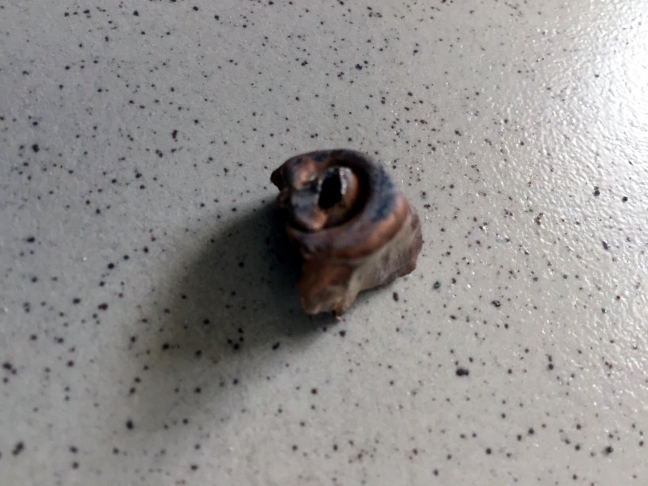 15-10/04/nusaybinde-sokaga-cikma-yasagiyla-birlikte-baslayan-operasyonlar-suruyor-2-_9288_dhaphoto1