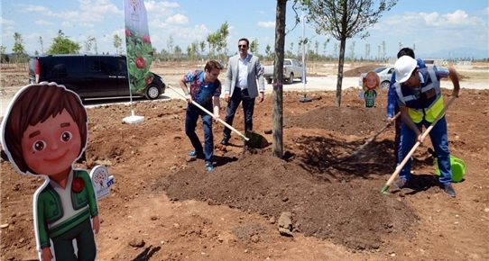 15-10/13/fft81_mf4458911