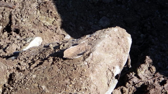 15-10/16/4051a29e5053c7f57a85411821ce0989-1445003219