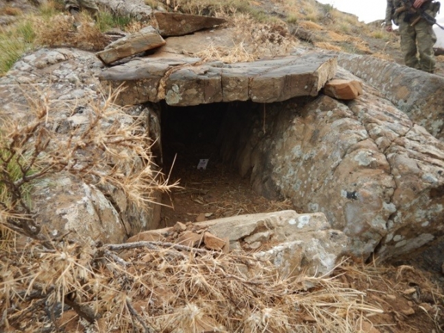 15-11/06/aa_picture_20151106_6729902_high-1446810258