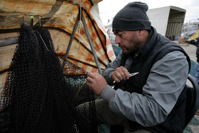 15-11/21/aa_picture_20151121_6859295_high