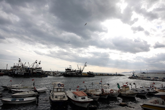 15-11/21/aa_picture_20151121_6859297_high