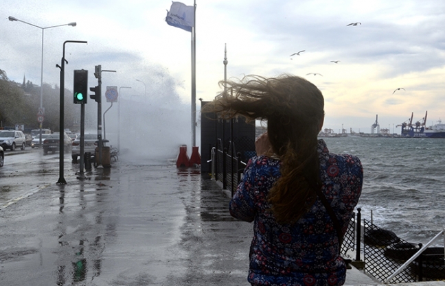 15-11/21/aa_picture_20151121_6859371_high