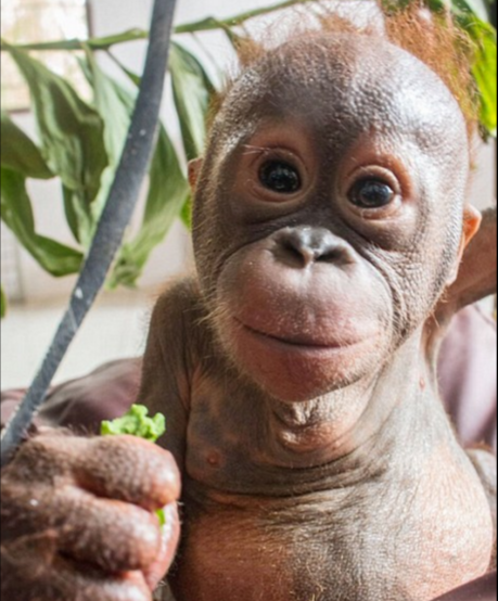 15-11/26/ekran-resmi-2015-11-26-171918