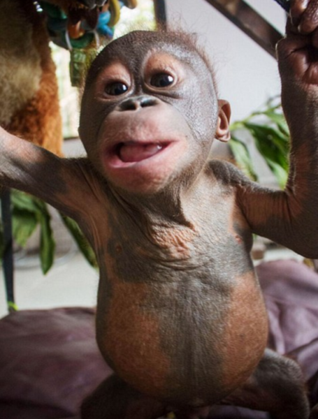 15-11/26/ekran-resmi-2015-11-26-171925